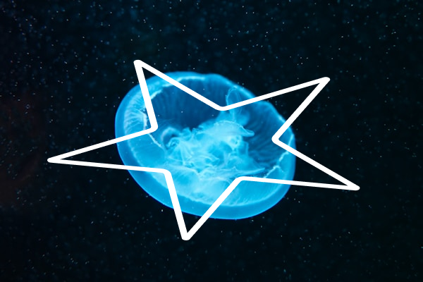 The Problem We Solve